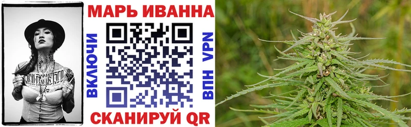 МЕФ Балтийск