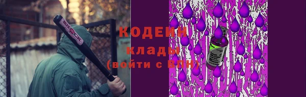 мдпв Богородск