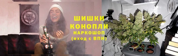 мдпв Богородск